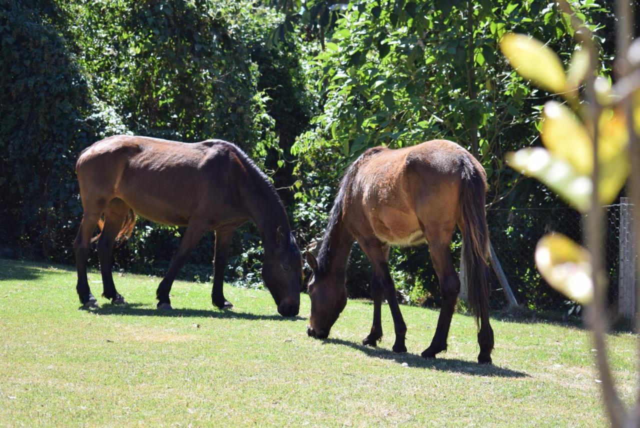 Pousada Appaloosa Águas de Lindóia Екстериор снимка